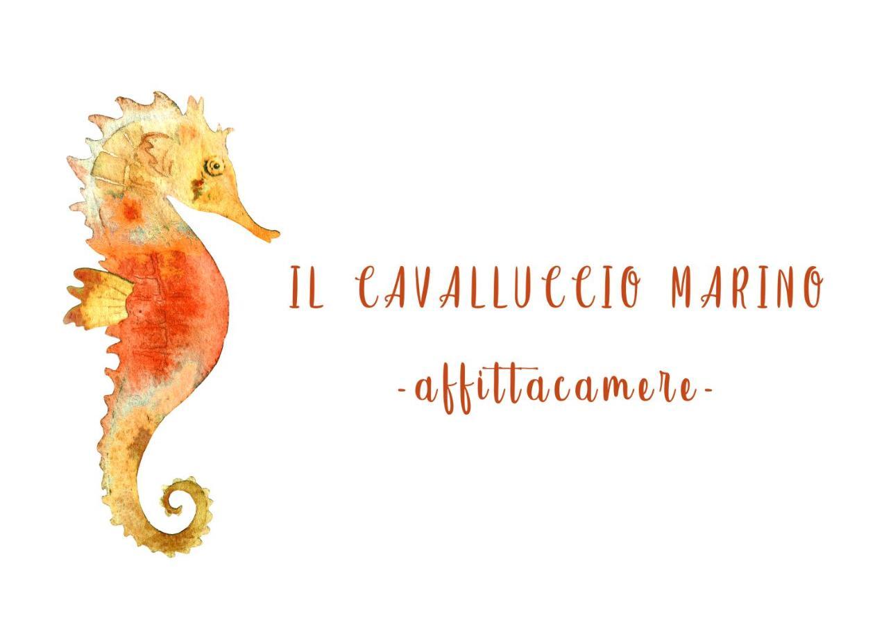 Il Cavalluccio Marino Gasthuis